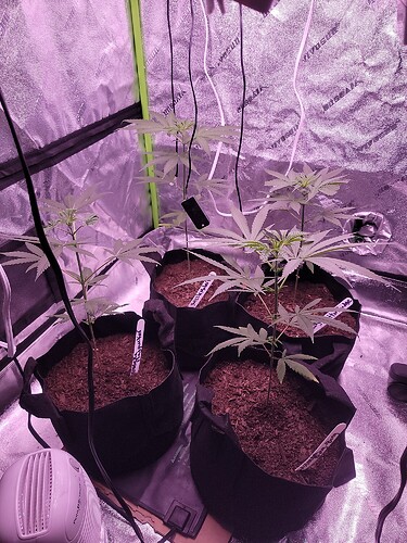 IMG_20211109_164059_01