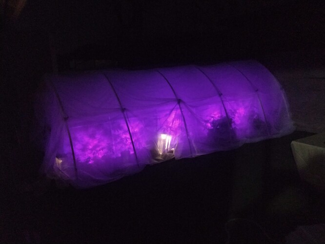 IMG_20210222_222458408