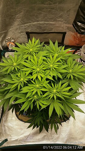 20220114_060412