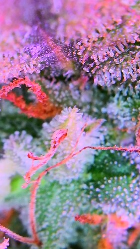 2021_12_25_09_57_09_111