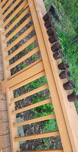 received_1011855182890375