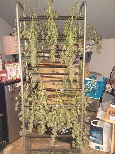 16308848573686133746358381208297