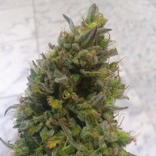 IMG_20210531_213143_401