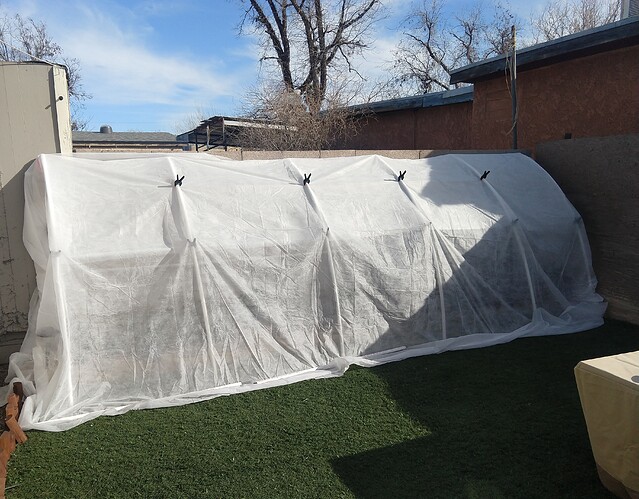 IMG_20210223_093246570