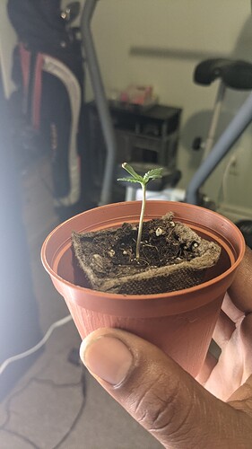 PXL_20210926_122709719