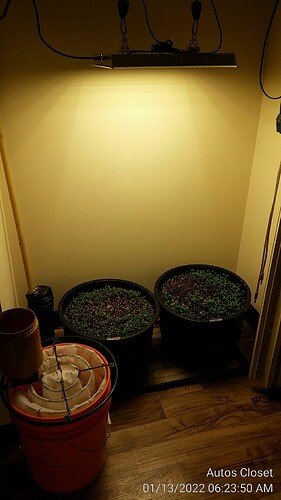 20220113_062350