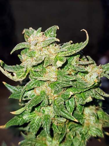 242004104_286818849554685_4424023091282166081_n