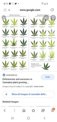 signal-2022-01-08-16-11-23-334