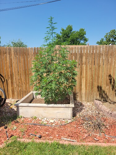 16259376254202399201202851468102