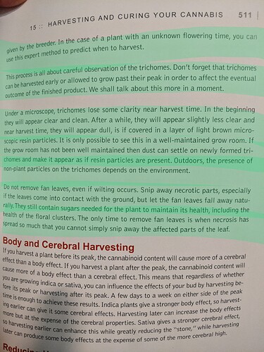 PXL_20201222_031349667.MP~2