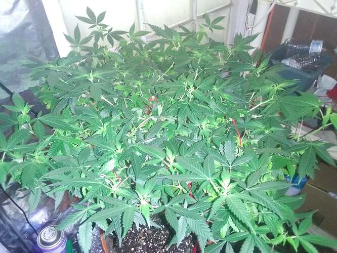 271485920_7000541600017726_3658652711583890315_n