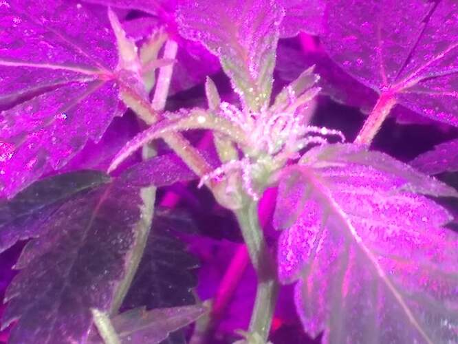 271703988_274654708091231_3930052621875579627_n