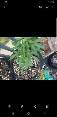 Screenshot_20210714-191620_Gallery