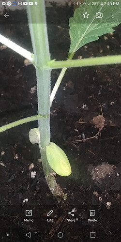 Screenshot_20210122-194035