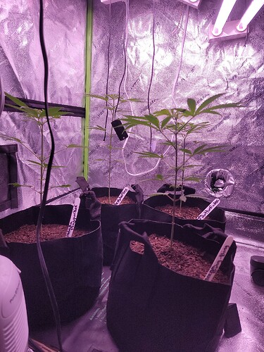 IMG_20211109_164059_02