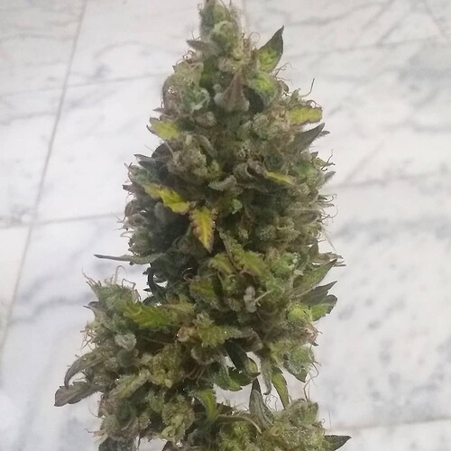 IMG_20210531_213143_429