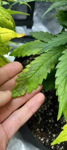 WhatsApp Image 2021-12-03 at 21.38.31 (2)