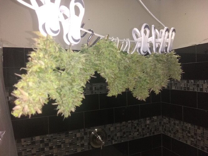 IMG_20210531_202617481