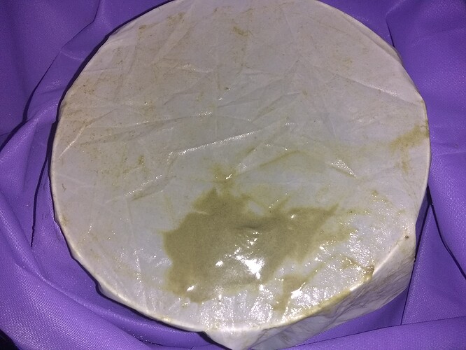 IMG_20210818_200858908