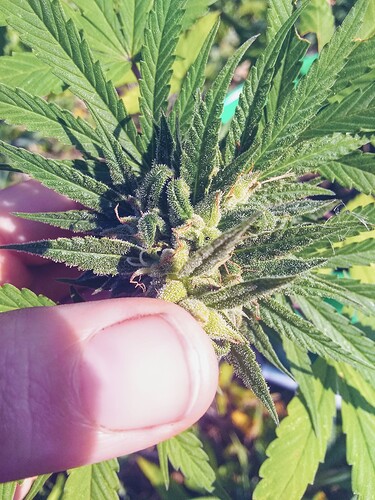 IMG_20211001_092317328~2