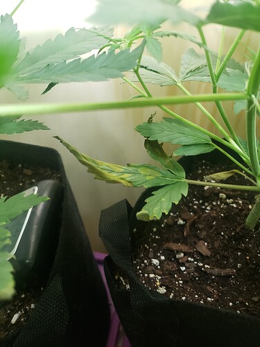 16149757222963187192942868054185