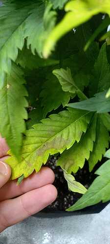 WhatsApp Image 2021-12-03 at 21.38.31 (3)