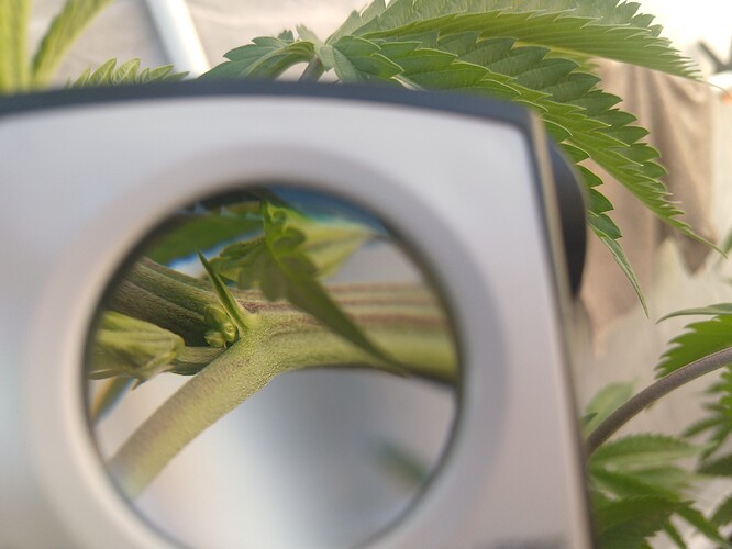 IMG_20210302_162259077