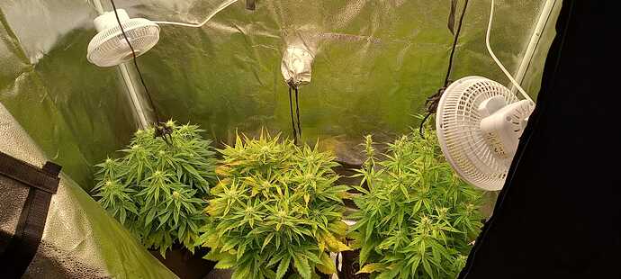 WhatsApp Image 2021-12-04 at 13.49.44 (5)