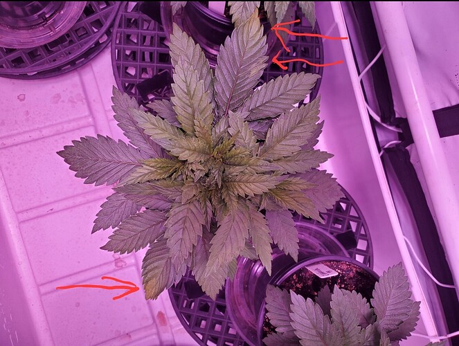 Screenshot_20220115-152057_Gallery