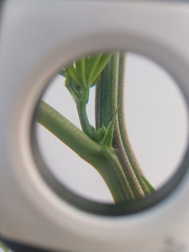 IMG_20210302_162017949