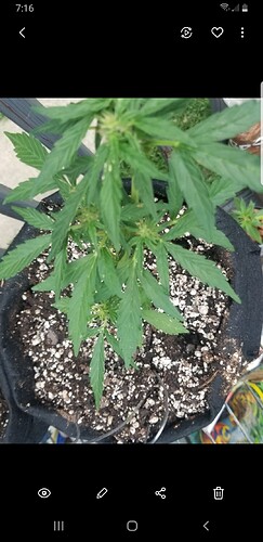 Screenshot_20210714-191646_Gallery