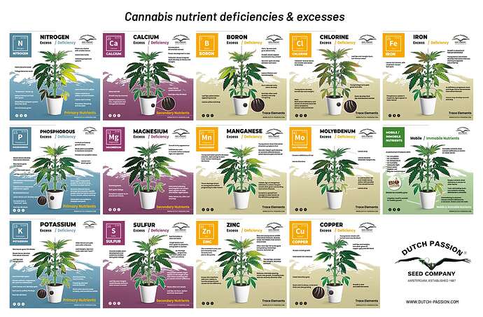 cannabis-nutrient-deficiencies-and-excesses-chart