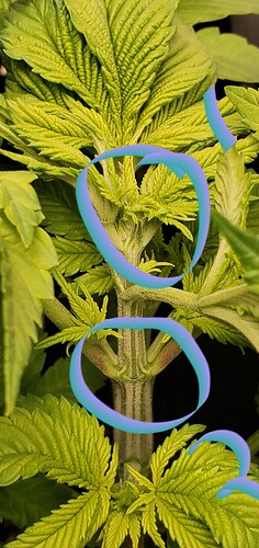 20201223_085105