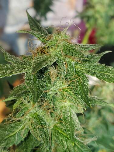 238371411_2884553388463750_5282143521836074020_n