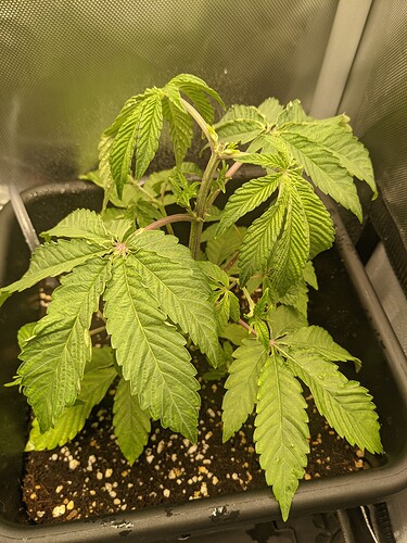 PXL_20211130_030410547