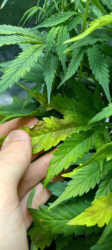 WhatsApp Image 2021-12-03 at 21.38.32