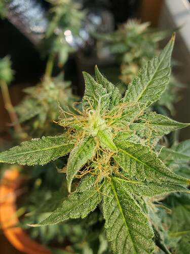 240714761_325701449240125_6861560673757338456_n