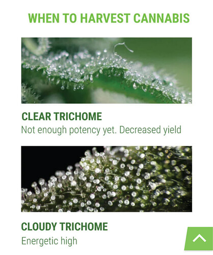 Screenshot_20201219-183955