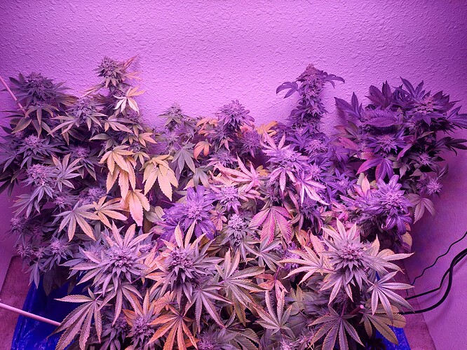 16383914075308173376680609209280