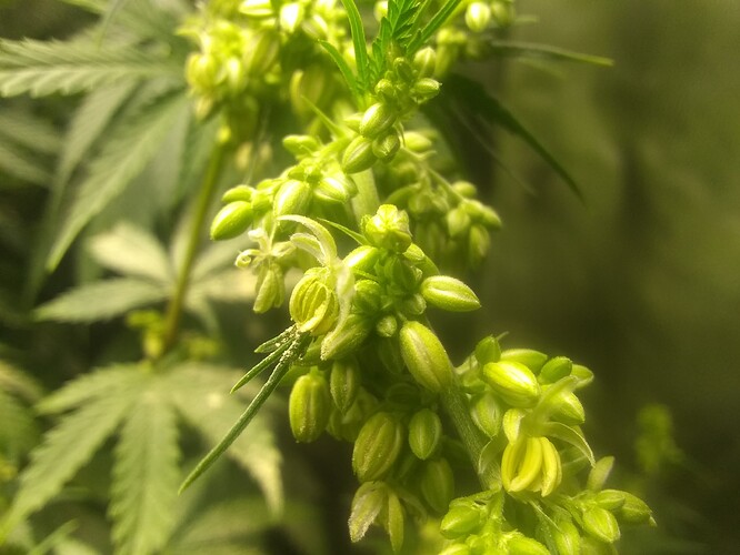 IMG_20210704_215905723