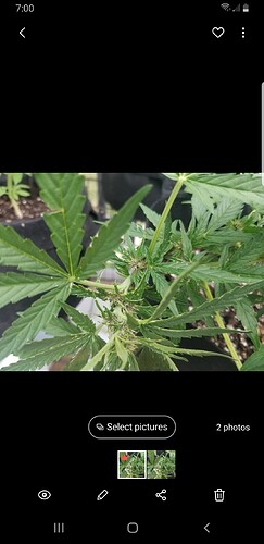 Screenshot_20210714-190010_Gallery