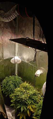 WhatsApp Image 2021-12-04 at 13.49.44 (1)