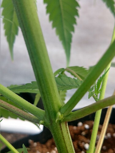 IMG_20210302_155751683_HDR