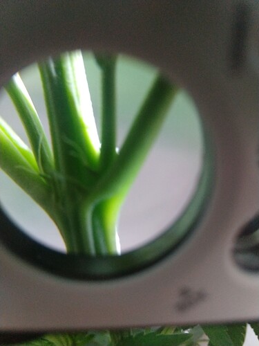 IMG_20210302_182325238