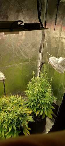 WhatsApp Image 2021-12-04 at 13.49.44