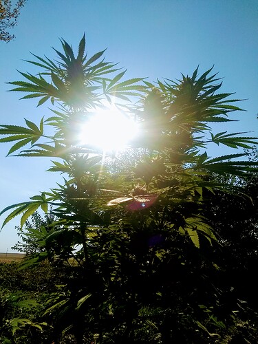 IMG_20211001_092628934~2