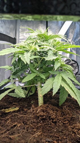 PXL_20211022_161709122