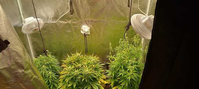 WhatsApp Image 2021-12-04 at 13.49.44 (2)