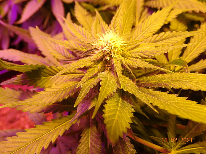 DSC01431