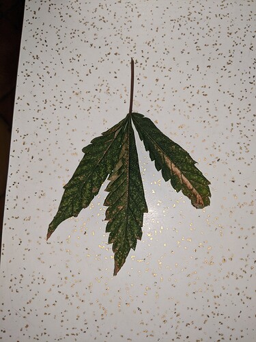 image0000001